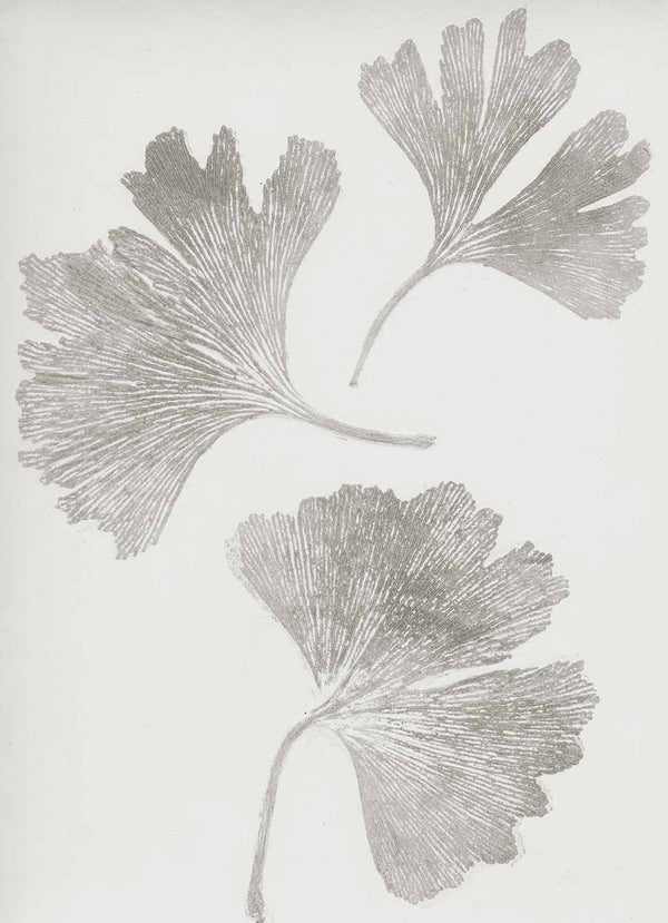 Pernille Folcarelli Gingko Grey Wallpaper