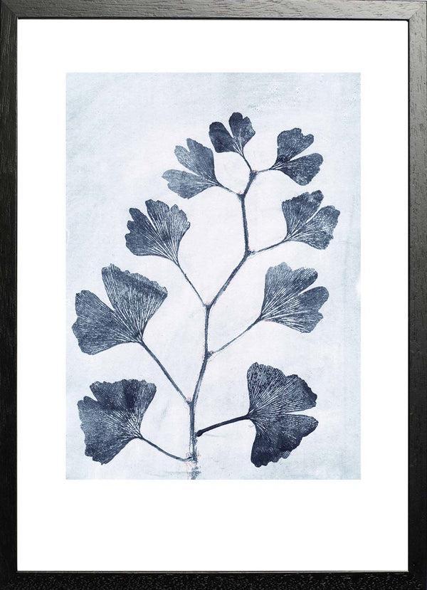 Pernille Folcarelli Gingko Ink