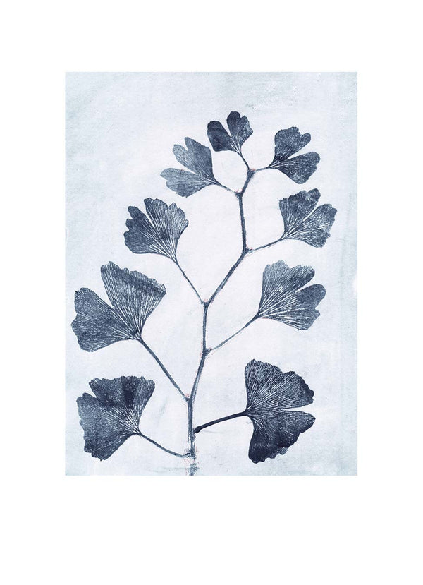 Pernille Folcarelli Gingko Ink