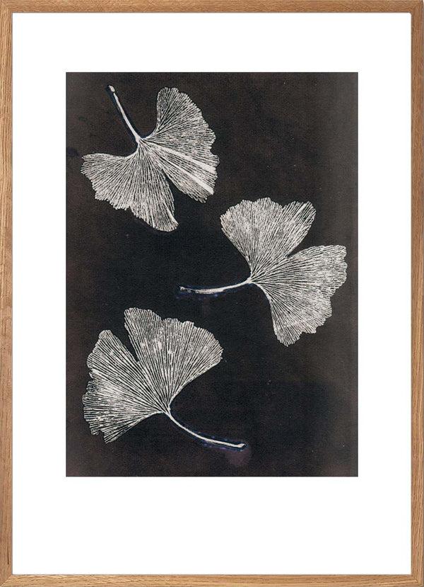 Pernille Folcarelli Gingko White