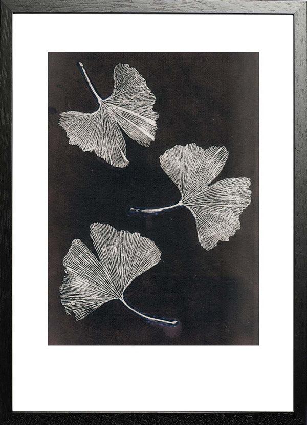 Pernille Folcarelli Gingko White