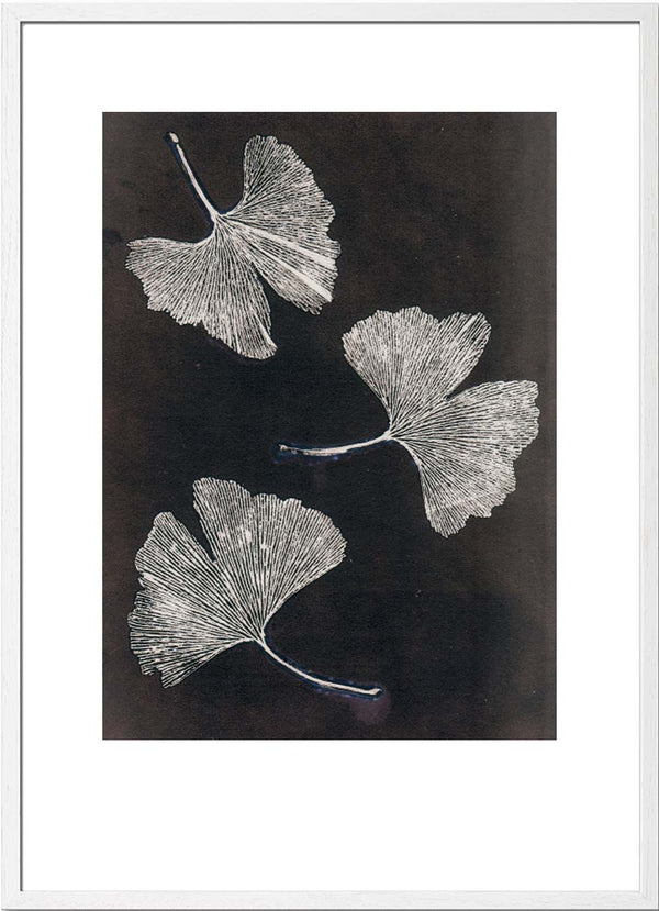 Pernille Folcarelli Gingko White