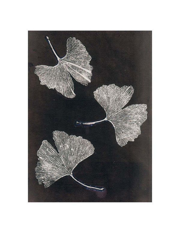 Pernille Folcarelli Gingko White
