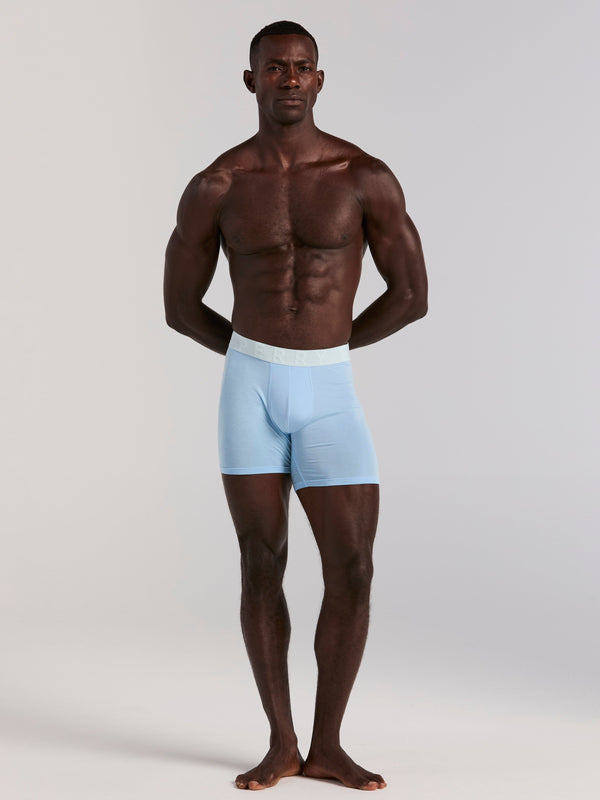 perry ellis 4-Pack Viscose Stretch Classic Boxer Brief Tourmaline/Blue Bell/Simply Taupe/Sargasso Sea