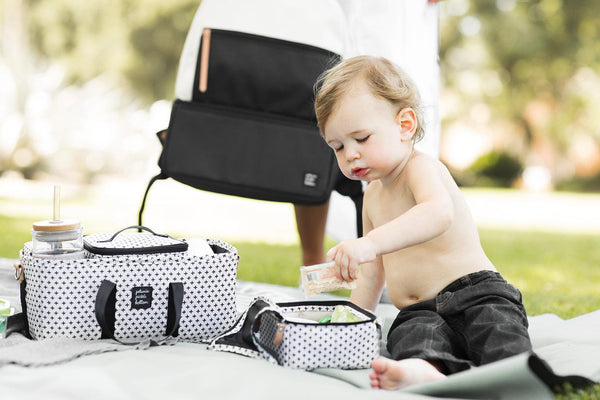 Petunia Pickle Bottom Inter-Mix Deluxe Kit In Positive