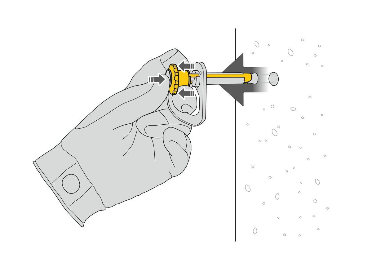 Petzl COEUR PULSE 12 Mm Removable Anchor With Locking Function