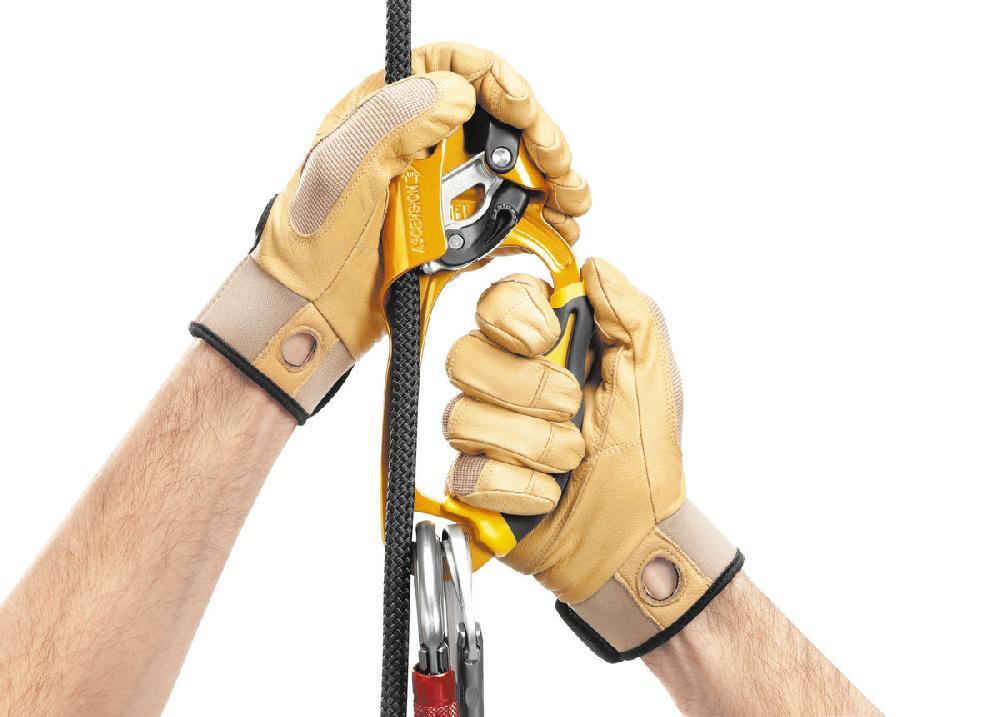 Petzl ASCENSION Ergonomic Handled Ascender