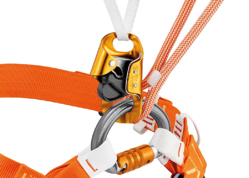 Petzl OMNI Multidirectional Semi-circle Carabiner