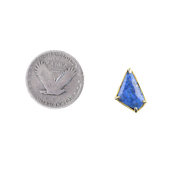 Peyote Bird Cenote Earrings