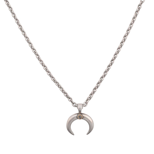 Peyote Bird Dennis Hogan Crescent Naja