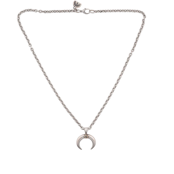 Peyote Bird Dennis Hogan Crescent Naja