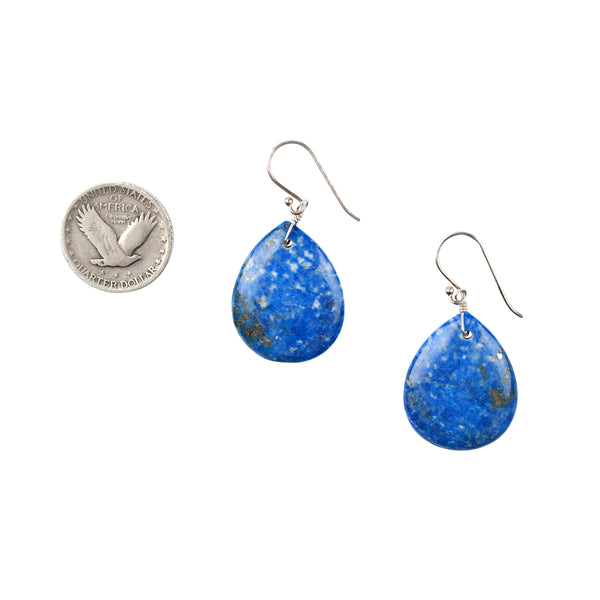Peyote Bird Drops Of Denim Earrings