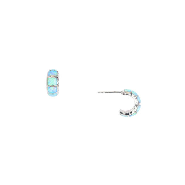 Peyote Bird Hammered Edge Rounded Hoop Earrings