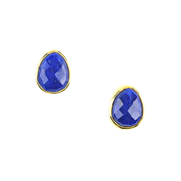 peyote bird Koya Blue Earrings