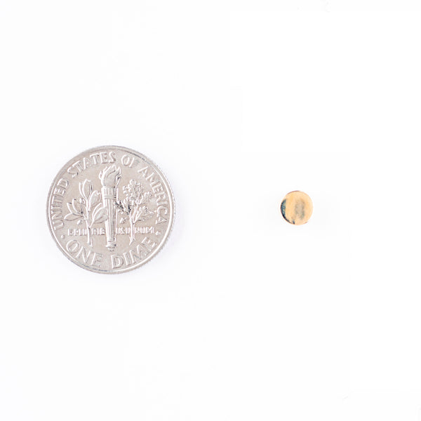 Peyote Bird Mini Circle Earrings