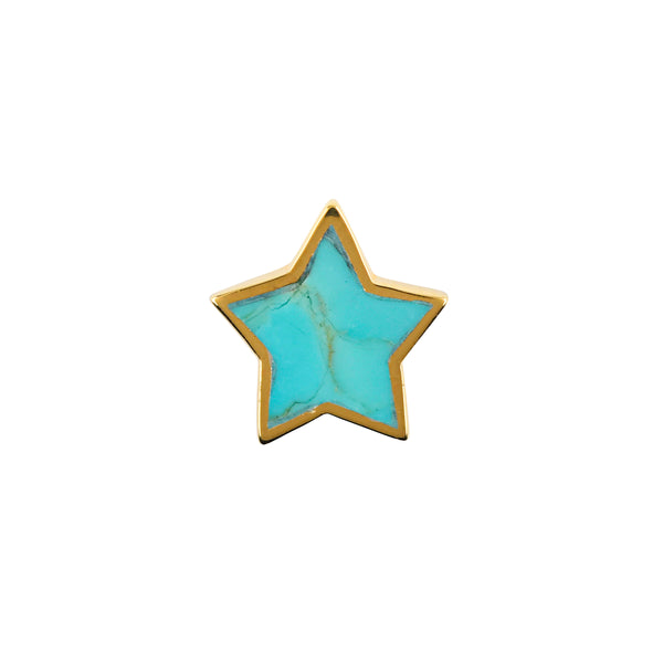 Peyote Bird Star Pin