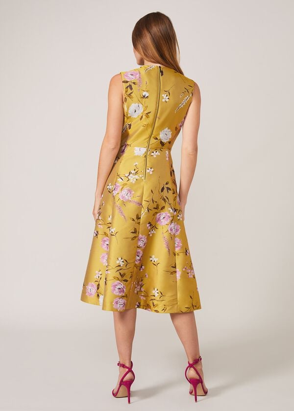 Phase Eight Cecily Floral Jacquard Fit And Flare Dress