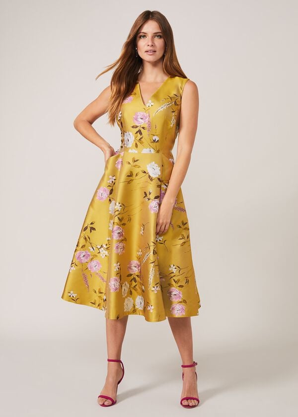 Phase Eight Cecily Floral Jacquard Fit And Flare Dress