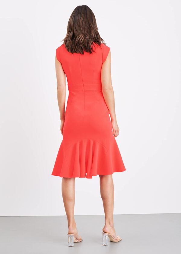 Phase Eight Abree Fitted Peplum Hem Dress