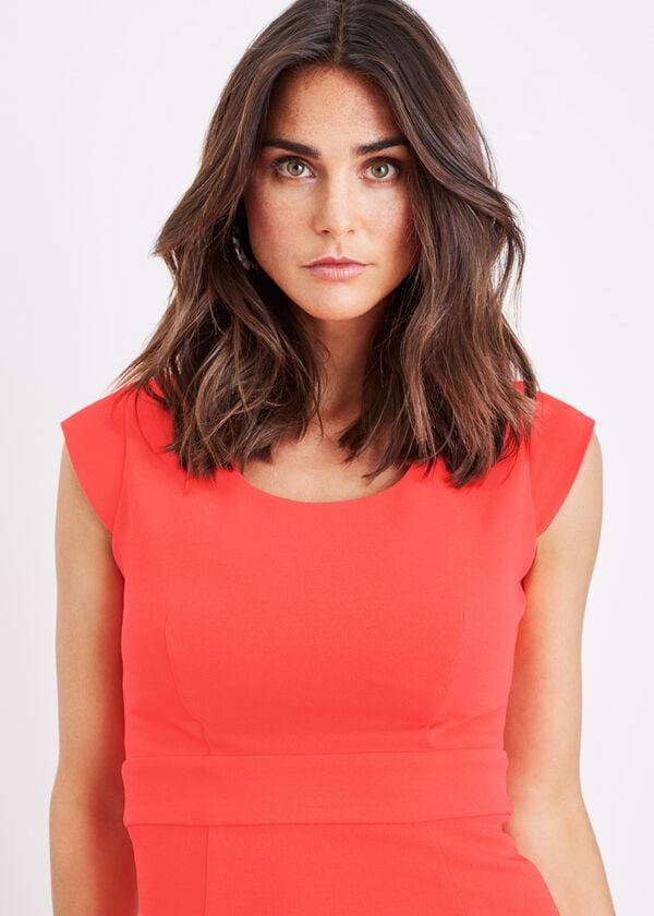 Phase Eight Abree Fitted Peplum Hem Dress