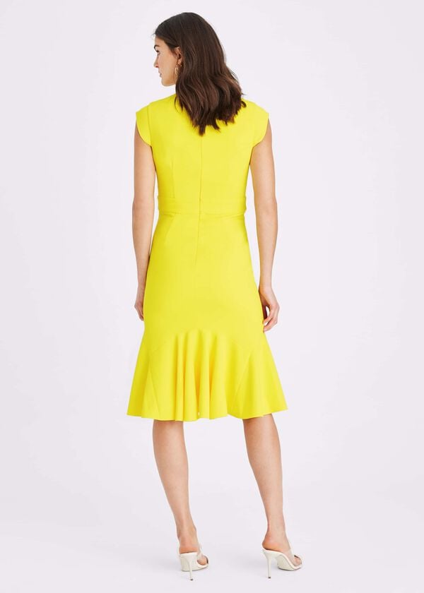 Phase Eight Abree Fitted Peplum Hem Dress