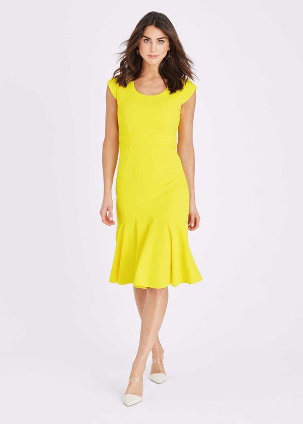 Phase Eight Abree Fitted Peplum Hem Dress