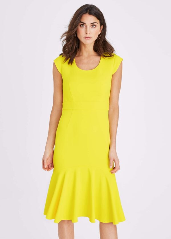 phase eight Abree Fitted Peplum Hem Dress