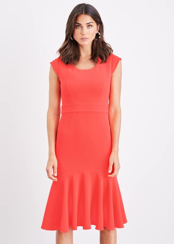 phase eight Abree Fitted Peplum Hem Dress