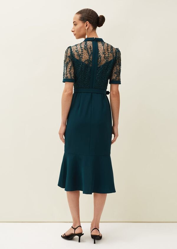Phase Eight Alesia Lace Bodice Belted Dress