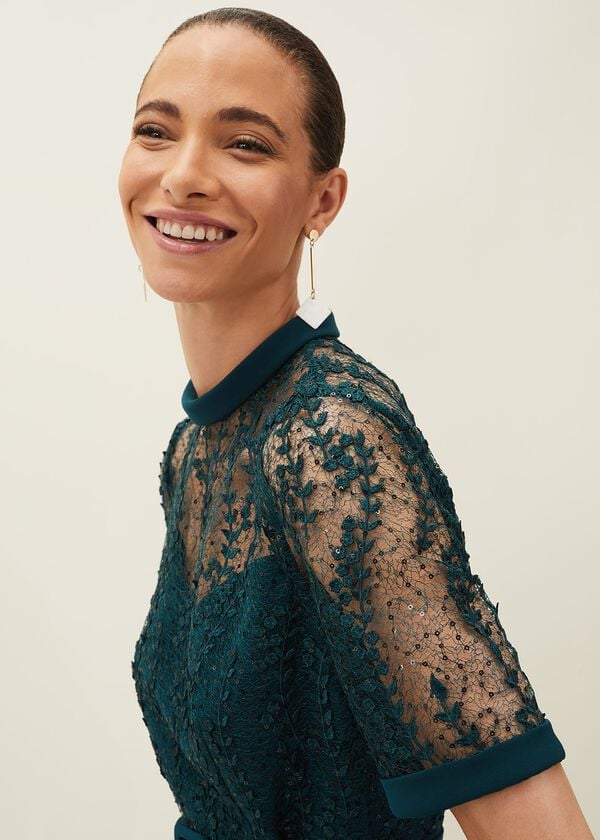 Phase Eight Alesia Lace Bodice Belted Dress