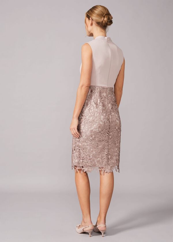 Phase Eight Aletta Lace Fitted Dress