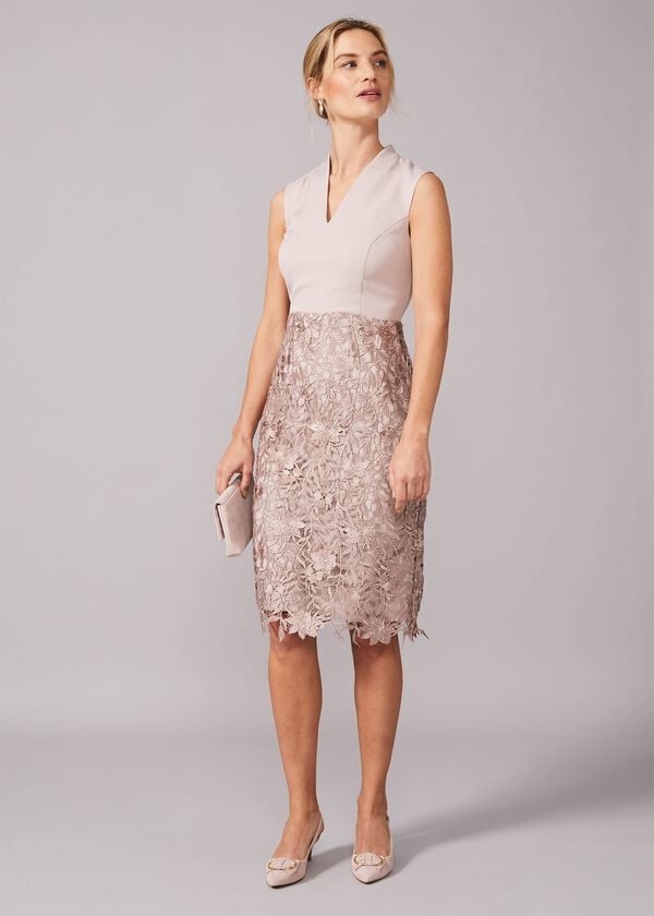 Phase Eight Aletta Lace Fitted Dress