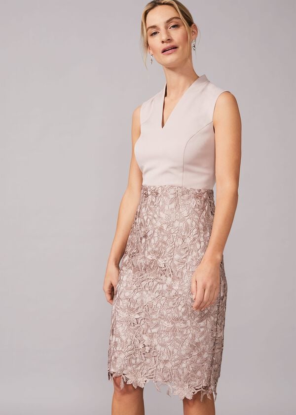 phase eight Aletta Lace Fitted Dress