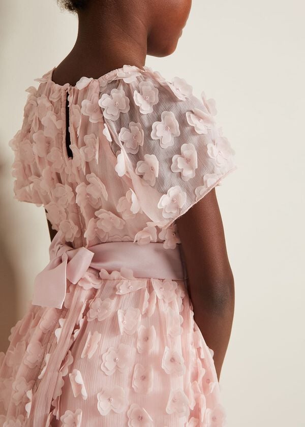 Phase Eight Alice Flower Fit And Flare Dress