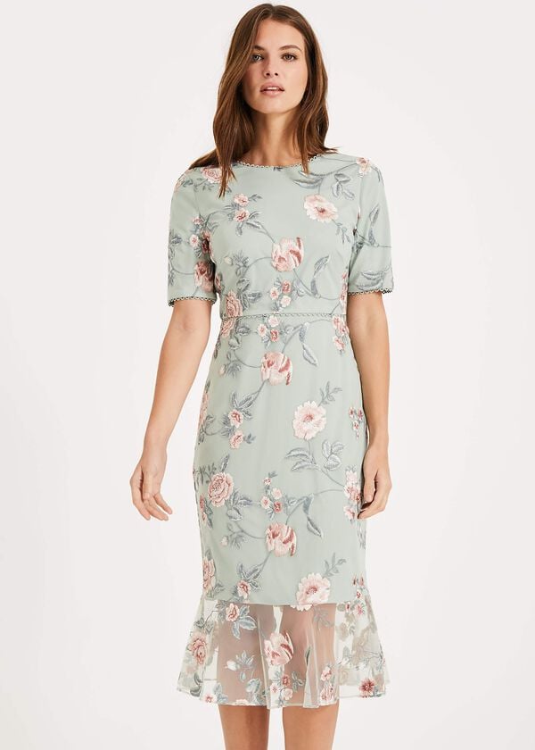 phase eight Alissa Embroidered Dress