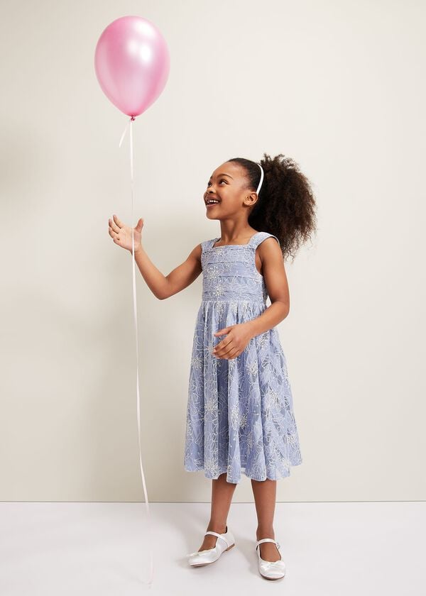 phase eight Amelia Embroidered Dress