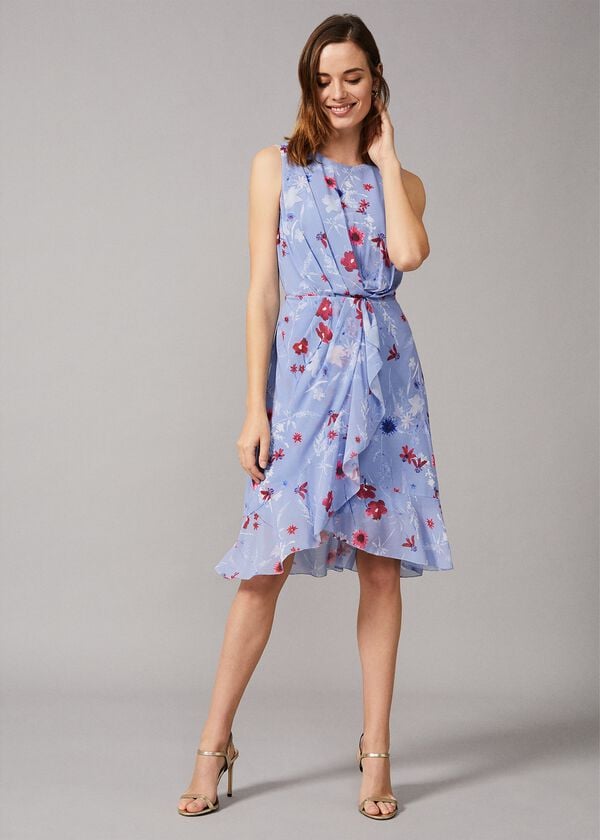 Phase Eight Andrea Floral Georgette Dress