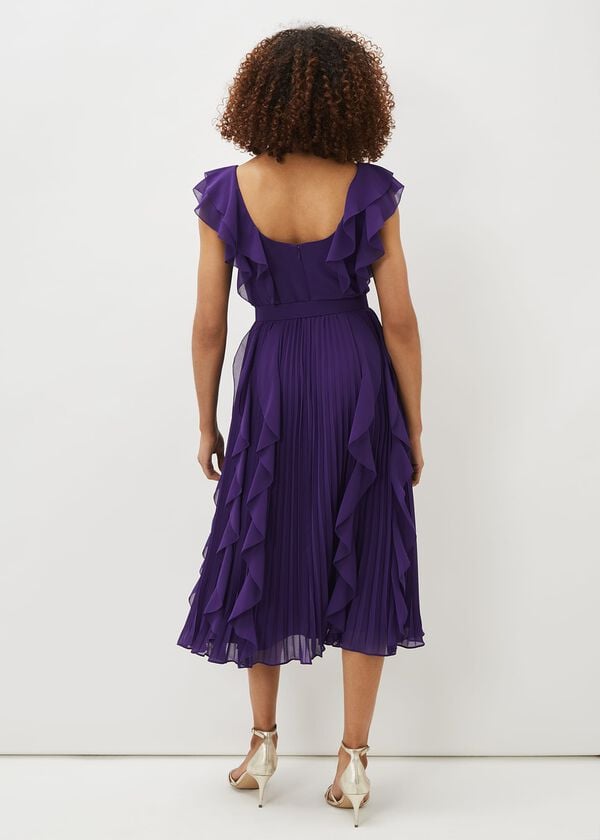 Phase Eight Bailey Pleated Dress