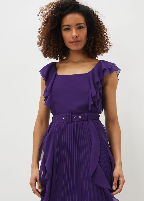 Phase Eight Bailey Pleated Dress