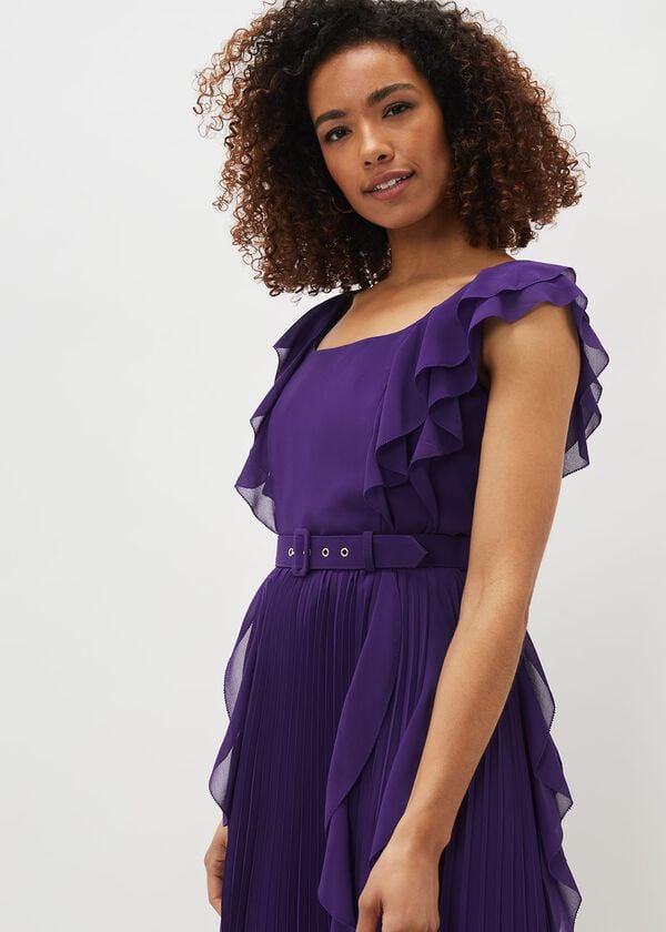 Phase Eight Bailey Pleated Dress