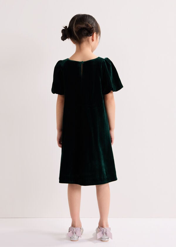 Phase Eight Beatrice Dark Green Velvet Swing Dress
