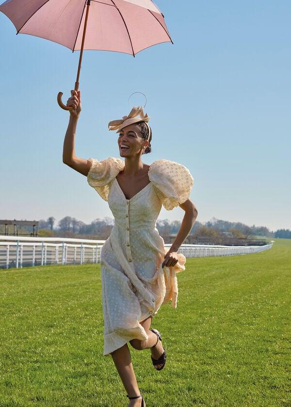 Phase Eight Bonnie Midi Dress