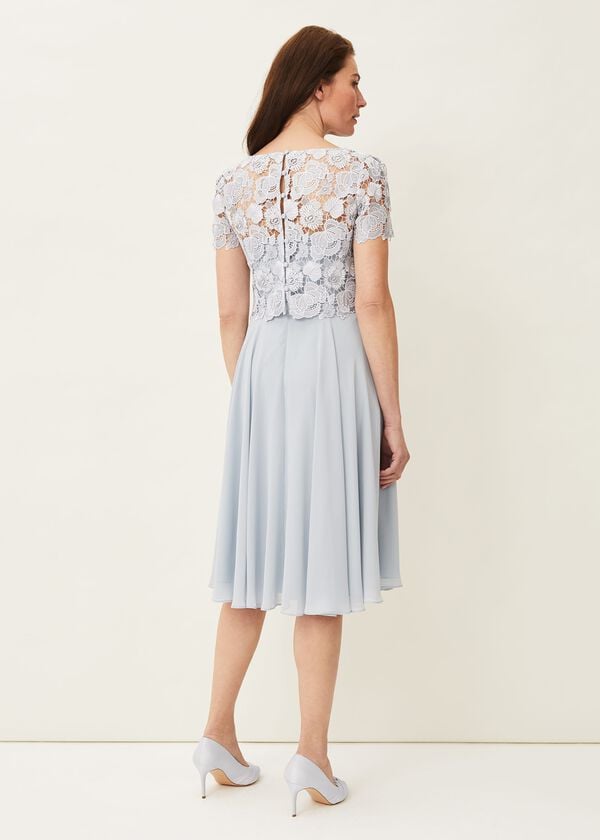 Phase Eight Brandie Lace Bodice Chiffon Dress