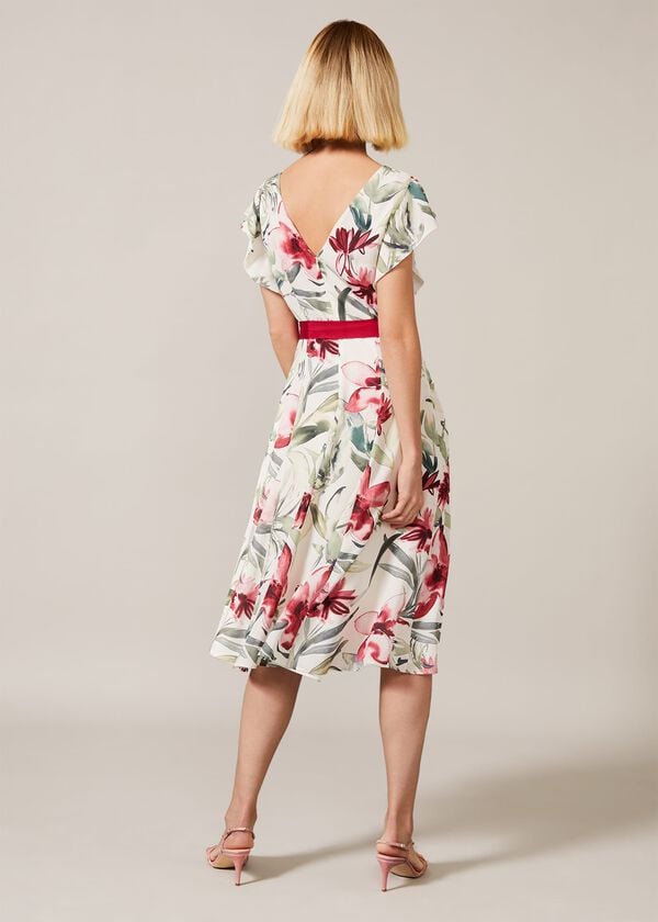 Phase Eight Carlotta Floral Dress