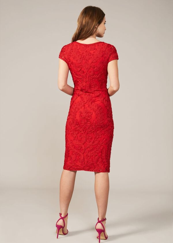 Phase Eight Cat Tapework Lace Fitted Dress