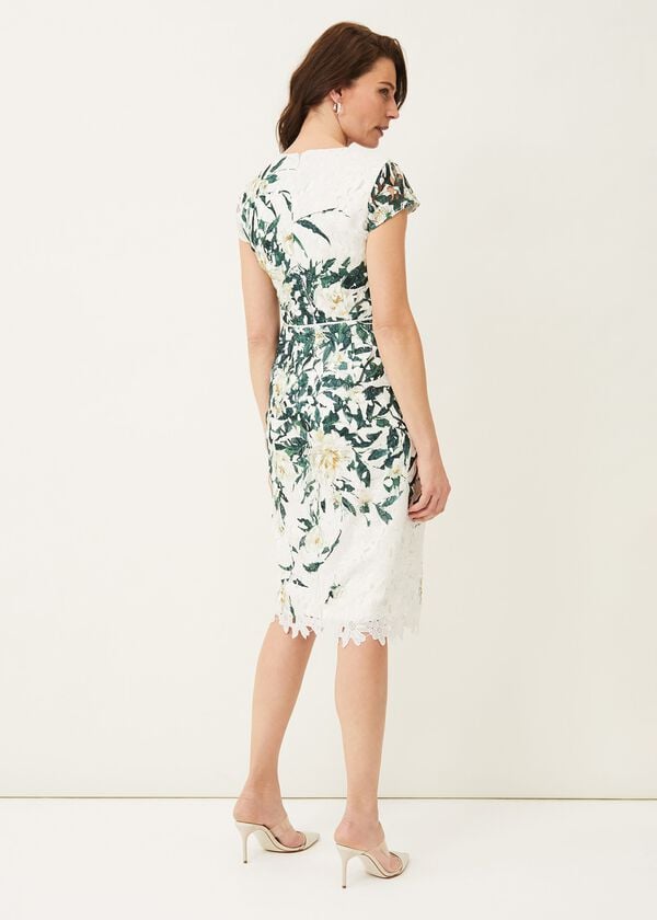 Phase Eight Claudine Floral Lace Dress