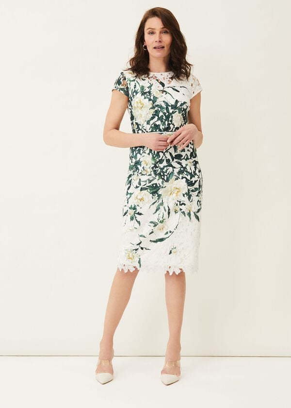 Phase Eight Claudine Floral Lace Dress