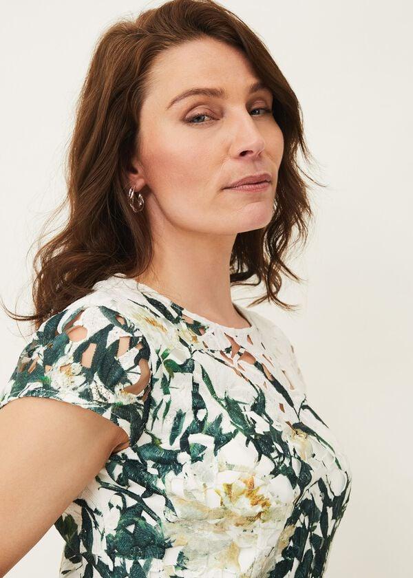 Phase Eight Claudine Floral Lace Dress