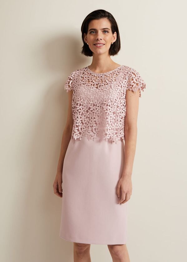 Phase Eight Daisy Lace Midi Dress