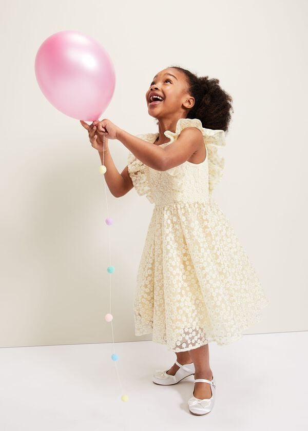 phase eight Daisy Smock Dress